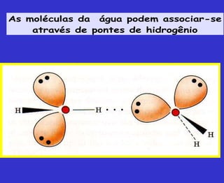As moléculas da água podem associar-se
através de pontes de hidrogênio
 