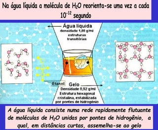 Na água líquida a molécula de H2O reorienta-se uma vez a cada
10-12
segundo
A água líquida consiste numa rede rapidamente flutuante
de moléculas de H2O unidas por pontes de hidrogênio, a
qual, em distâncias curtas, assemelha-se ao gelo
 