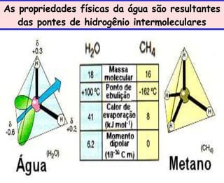 As propriedades físicas da água são resultantes
das pontes de hidrogênio intermoleculares
 