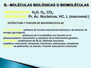 FUERZAS QUE INTERVIENEN EN EL MANTENIMIENTO DE LAS ESTRUCTURAS DE LOS SERES VIVOS Enlaces covalentes (C-C)