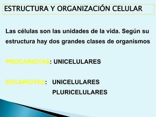 “Bioquímica” Mathews, van Holde y Ahern. Addison Wesley 2002