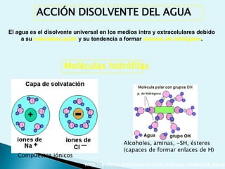 2.- CARACTERÍSTICAS DE LA MATERIA VIVALos   seres   vivos   están   constituidos   por   moléculas químicas que interaccionan entre sí en un medio acuoso adquiriendo nuevas propiedades físico-químicas que dan lugar al fenómeno vitalCOMPLEJIDADORDEN, intercambian materia y energía con el entornoREPLICACIÓN: la vida se autorreproduce