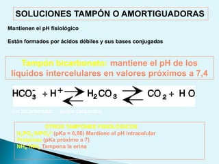 ACCIÓN DISOLVENTE DEL AGUAEl agua es el disolvente universal en los medios intra y extracelulares debido a su naturaleza polar y su tendencia a formar enlaces de hidrógeno.Moléculas hidrófilasAlcoholes, aminas, -SH, ésteres(capaces de formar enlaces de H)Compuestos iónicoshttp://enfenix.webcindario.com/biologia/molecula/agupropi.html