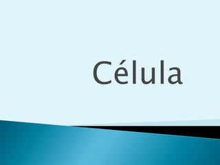 Moléculas hidrófobasRELATIVAMENTE INSOLUBLES EN AGUAHidrocarburos alifáticos y aromáticos o sus derivados que no pueden formar enlaces de H