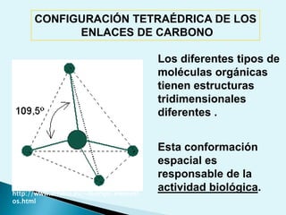  Biomoléculas Fuerzas que los unen2.  LA BIOQUÍMICA COMO CIENCIA BIOLÓGICACARACTERÍSTICAS de la materia viva:Complejidad