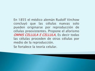 ión bicarbonato     ácido carbónicoSOLUCIONES TAMPÓN O AMORTIGUADORASMantienen el pH fisiológicoEstán formados por ácidos débiles y sus bases conjugadasTampón bicarbonato: mantiene el pH de los líquidos intercelulares en valores próximos a 7,4	    OTROS TAMPONES FISIOLÓGICOSH2PO4-/HPO42- (pKa = 6,86) Mantiene el pH intracelularProteínas (pKa próximo a 7)NH4+/NH3Tampona la orina