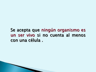 ObjetivoLa bioquímica buscadescribir y explicar entérminos moleculares todos los procesos químicos  de las células vivas.ImportanciaLos estudios bioquímicoscontribuyen al diagnostico,pronostico y tratamiento de la enfermedad.