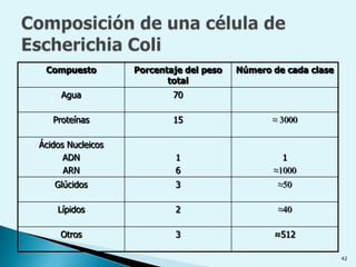 También tenemos las células nerviosas de los animales, que pueden alcanzar varios metros de longitud.