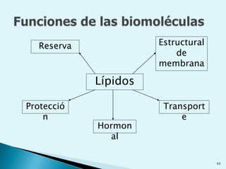 Se acepta que ningún organismo es un ser vivo si no cuenta al menos con una célula .