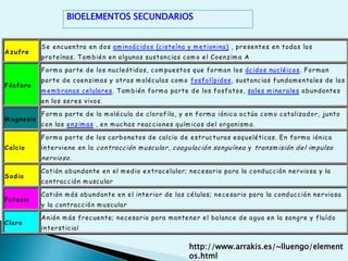 Capacidad de replicaciónESTRUCTURA Y ORGANIZACIÓN CELULAR: Procariotas y Eucariotas