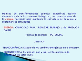 LAS PROTEÍNASPROTEÍNASESTRUCTURACLASIFICACIÓNFUNCIONES20(según R)se distinguenAminoácidosColágenoEstructuralContráctilEjFibrosasunidos porActina/MiosinaEnzimáticaReservaEnlacepeptídicoHoloproteínasAlbúminasEj.DefensaTransporteformandoGlobularesGlobulinasPéptidos oproteínasHormonalEj.NucleoproteínasCromatinatienenOrganizaciónestructuralEj.FosfoproteínasCaseínaSecuencia deaminoácidoses laE. primariaEj.CromoproteínasHemoglobinaHeteroproteínas héliceProteoglucanosE. secundariaEj.Glucoproteínasdefinida porConformación FSH, TSH...PlegamientoespacialE. terciariaEj.LipoproteínasHDL, LDLProteínasoligoméricassólo enE. cuaternaria
