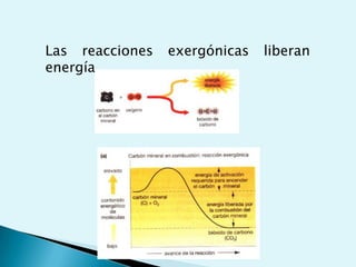 pH fisiológico = 7.4. La sangre de los pacientes que sufren de ciertas enfermedades, como la diabetes tienen un pH menor a 7, condición llama acidosis. El estado en el que el pH es mayor a 7.4, se llama alcalosis y puede deberse a vómitos excesivos y prolongados o a hiperventilación.