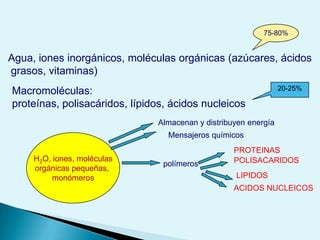 Relacionar las características del agua con las funciones biológicasMultitud de transformaciones químicas específicas ocurren durante la vida de los sistemas biológicos , las cuales proveen de la energía necesaria para mantener la estructura de la célula y coordinar sus actividadesENERGIA: CAPACIDAD PARA  REALIZAR TRABAJO o de PRODUCIR CALORFormas de energía:	POTENCIAL		CINETICA	TERMODINÁMICA: Estudio de los cambios energéticos en el Universo.BIOENERGÉTICA: Estudio del uso y las transformaciones de energía en los seres vivos. 
