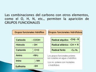 Las reacciones endergónicas requieren de un suministro de energía