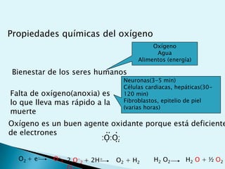 Las reacciones químicas están acopladas