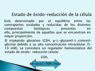 REACCIONES ACOPLADAS DENTRO DE LAS CELULAS VIVAS