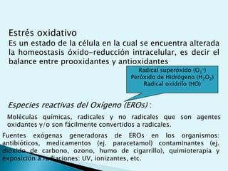 AguaOxígenoIones inorgánicosMoléculas orgánicasCÉLULAOrganelasAsociaciones supramolecularesMacromoléculas o moléculas biológicasUnidades estructuralesCompuestos intermediosElementos del entorno