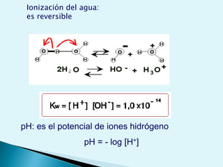 La conformación espacial tetraédrica, es responsable de la actividad biológica.