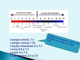 ENLACES QUIMICOSEnlaces fuertes o CovalentesInteracciones o enlaces débiles no covalentes:Puentes de hidrógeno