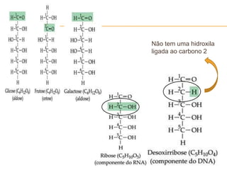 Não tem uma hidroxila
ligada ao carbono 2
 