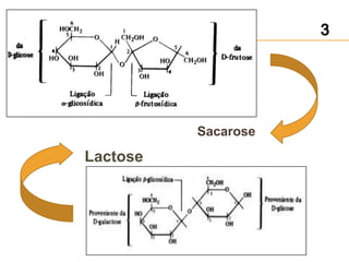 Sacarose
Lactose
 