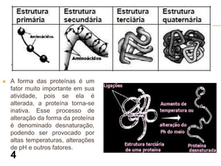    A forma das proteínas é um
    fator muito importante em sua
    atividade, pois se ela é
    alterada, a proteína torna-se
    inativa. Esse processo de
    alteração da forma da proteína
    é denominado desnaturação,
    podendo ser provocado por
    altas temperaturas, alterações
    de pH e outros fatores.
 