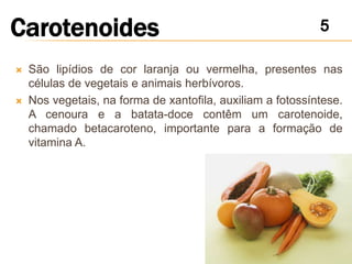    São lipídios de cor laranja ou vermelha, presentes nas
    células de vegetais e animais herbívoros.
   Nos vegetais, na forma de xantofila, auxiliam a fotossíntese.
    A cenoura e a batata-doce contêm um carotenoide,
    chamado betacaroteno, importante para a formação de
    vitamina A.
 