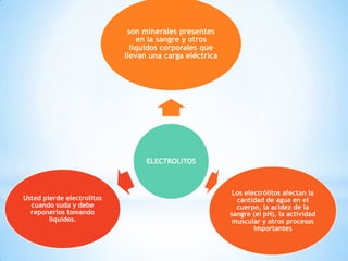 son minerales presentes
en la sangre y otros
líquidos corporales que
llevan una carga eléctrica

ELECTROLITOS

Usted pierde electrolitos
cuando suda y debe
reponerlos tomando
líquidos.

Los electrólitos afectan la
cantidad de agua en el
cuerpo, la acidez de la
sangre (el pH), la actividad
muscular y otros procesos
importantes

 