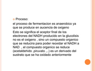  Proceso:
el proceso de fermentacion es anaerobico ya
que se produce en aucencia de oxigeno
Esto se significa el aceptor final de los
electrones del NADH producido en la glucolisis
no es el oxigeno , sino un compuesto organico
que se reducira para poder reoxidar el NADH a
NAD , el compuesto organico se reduce
(acetaldehido ,piruvato ,..) es un derivado del
sustrato que se ha oxidado anteriormente
 