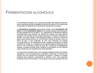 FERMENTACION ALCOHOLICA
 