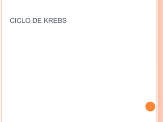 CICLO DE KREBS
 
