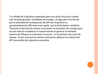 *La utilidad de la glicolisis anaerobia,para una celula muscular cuando
esta necesita grandes cantidades de energia , se logra por el hecho de
que la velocidad de la produccion de ATP por la glicolisis es
aproximadamente 100 veces mas rapida que la fosforilacion oxidativa
*Durante el ejercicio las celulas musculares no necesitan dar energia para
vias de reaccion anabolicas.el requerimiento es generar la cantidad
maxima de ATP,para la contracion muscular , en el periodo mas corto de
tiempo . Es por esto que las celulas musculares obtienen la mayoria del
ATP consumido de la glicolisis anaerobia
 