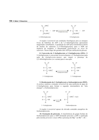 154 •   Motta   •   Bioquímica


                                          O           OPO2
                                                         3                                                          O       O
                                              C                                                                         C
                                              1                                                                         1
                                      H       C           OH          +   ADP                                   H       C       OH       +   ATP
                                              2                                    Fosfoglicerato-cinase                2
                                              CH2 OPO2
                                                     3                                                                  CH2 OPO2
                                                                                                                               3
                                              3                                                                         3

                                    1,3-Difosfoglicerato                                                    3-Fosfoglicerato

                                     A reação é reversível em condições fisiológicas pois as energias
                                 livres de hidrólise do ATP e do 1,3 − bifosfoglicerato apresentam
                                 magnitudes semelhantes. A produção de ATP pela transferência direta
                                 de fosfato do substrato (1,3 − bifosfoglicerato) para o ADP em
                                 ausência de oxigênio, é denominada fosforilação ao nível do
                                 substrato. Nessa etapa são gerados dois ATP por molécula de glicose.
                                      8. Conversão do 3 − fosfoglicerato a 2 − fosfoglicerato (2PG). O
                                 3 − fosfoglicerato é convertido reversivelmente a 2 − fosfoglicerato pela
                                 ação da fosfoglicerato − mutase que requer a presença de
                                 2,3 − bifosfoglicerato (ver acima) para a sua ação:

                                                      O           O                                                     O       O
                                                          C                                                                 C
                                                              1                                                             1
                                               H          C        OH                                               H       C       OPO2
                                                                                                                                       3
                                                              2                                                             2
                                               H          C        OPO2
                                                                      3                                             H       C       OH
                                                              3                                                             3
                                                                                  Fosfoglicerato-mutase
                                                          H                                                                 H

                                              3 - Fosfoglicerato                                                2 - Fosfoglicerato



                                      9. Desidratação do 2 − fosfoglicerato a fosfoenolpiruvato (PEP).
                                 A enolase catalisa a remoção reversível de uma molécula de água do
                                 2 − fosfoglicerato para formar o segundo intermediário de “alta
                                 energia”, o fosfoenolpiruvato:

                                                  O           O                                     O       O
                                                      C                                                 C
                                                          1
                                           H          C           OPO2
                                                                     3                                  C   OPO2 + H2 O
                                                                                                               3
                                                          2
                                           H          C           OH                            H       C
                                                          3
                                                                                Enolase
                                                      H                                                 H

                                          3 - Fosfoglicerato                                        Fosfoenolpiruvato

                                     A reação é reversível apesar do elevado conteúdo energético do
                                 fosfoenolpiruvato.
                                     10. Formação do piruvato. A transferência do grupo fosfato do
                                 fosfoenolpiruvato para o ADP formando piruvato e ATP é catalisada
                                 pela enzima piruvato − cinase (PK) e presença de Mg 2+ ou Mn 2+ e K + :
 