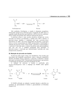 6 Metabolismo dos carboidratos   • 155

                O       O                                                O       O
                    C                                                        C
                    C     OPO2
                             3      + ADP                                    C       O + ATP
                                              Piruvato-cinase
                    CH2                                                      CH3

            Fosfoenolpiruvato                                             Piruvato

    Sob condições fisiológicas, a reação é altamente exergônica,
fornecendo energia livre suficiente para a formação de ATP. Essa é a
segunda reação da glicólise que fosforila o ATP ao nível do substrato.
Nesse estágio são gerados dois ATP por molécula de glicose.
    A piruvato − cinase é uma enzima alostérica ativada por níveis
elevados de frutose − 1,6 − bifosfato e inibida pelo ATP e alanina. A
piruvato − cinase também é modulada por uma proteína-cinase
dependente de AMPc. Em teores diminuídos de glicemia, o glucagon
eleva os níveis intracelulares de AMPc promovendo a fosforilação e
inibição da piruvato − cinase. Desse modo, a glicólise é interrompida e
o piruvato é desviado para a síntese da glicose pela gliconeogênese
que, por sua vez, é também estimulada pelo glucagon. A
piruvato − cinase é reativada por defosforilação realizada por uma
fosfoproteína − fosfatase.

B. Redução do piruvato em lactato
    O piruvato pode seguir várias vias metabólicas. Nos tecidos que
funcionam sob condições anaeróbicas, como o músculo esquelético
durante atividades físicas vigorosas, o piruvato é reduzido a lactato
para gerar novamente NAD + (fermentação homoláctica) o que permite
a continuação da glicólise com baixa produção de ATP.
    A redução do piruvato a lactato é catalisada pela
lactato − desidrogenase com o emprego de NADH como agente
redutor:

O       O                           O                                                         O       O             H      O
                        H       H
    C                               C                                                             C                        C
                                        NH2                                                                                    NH2
    C       O   +                             +   H+                                     HO       C       H   +
                                                                Lactato-desidrogenase                               +
    CH3                     N                                                                     CH3               N
                            R                                                                                       R
Piruvato                        NADH                                                      Lactato
                                                                                                                        NAD+


    O NADH utilizado na redução é gerado durante a glicólise na
oxidação do gliceraldeído − 3 − fosfato a gliceraldeído − 1,3 − bifosfato
(Figura 6.4).
 