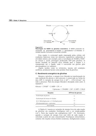 156 •   Motta   •   Bioquímica



                                                    Piruvato                             Lactato




                                                        NADH +H +                      NAD+




                                               Gliceraldeído                             Gliceraldeído
                                               1,3 - bifosfato                            3 - fosfato
                                                                                  Pi

                                 Figura 6.5
                                 Reciclagem do NADH na glicólise anaeróbica. O NADH produzido na
                                 conversão do gliceraldeído − 3 − fosfato a gliceraldeído − 1,3 − bifosfato é
                                 oxidado quando o piruvato é convertido a lactato.

                                     Essa reação é a principal opção empregada pelas células sob
                                 condições hipóxicas como em músculos esqueléticos submetidos à
                                 atividade intensa, por exemplo, para a reoxidação do NADH a NAD +
                                 no citosol e, assim, prosseguir produzindo ATP pela glicólise. O
                                 lactato formado no músculo ativo difunde para o sangue e é
                                 transportado até o fígado, onde é convertido em glicose pela
                                 gliconeogênese (ver adiante) .
                                     Alguns tecidos como os eritrócitos, mesmo sob condições
                                 aeróbicas, produzem lactato como produto final da glicólise.

                                 C. Rendimento energético da glicólise
                                     Durante a glicólise, a energia livre liberada na transformação de
                                 uma molécula de glicose a dois piruvato é conservada na forma de
                                 dois ATP. A variação de energia livre é ∆ G 0´ = − 135,6 kJ·mol -1 em
                                 todo o processo. Parte da energia liberada é dissipada como calor. A
                                 equação é:
                                 Glicose + 2 NAD + + 2 ADP + 2 P i →
                                                                 2 piruvato + 2 NADH + 2 H + +2 ATP + 2 H 2 O

                                                      Reações                            ATP/mol de glicose

                                 Fosforilação da glicose                                           −1
                                 Fosforilação da frutose − 6 − fosfato                             −1
                                 2(1,3 − Bifosfoglicerato → 3 − fosfoglicerato)                    +2

                                 2(Fosfoenolpiruvato → piruvato)                                   +2
                                                     Total líquido                                 +2


                                      A Tabela 6.1 mostra as variações de energia livre de cada reação
                                 da glicólise em condições fisiológicas ( ∆ G) e no estado-padrão
                                 ( ∆ G° ´ ). Parte das reações são endergônicas ( ∆ G °′ <0). Entretanto,
                                 quando a variação de energia livre real ( ∆ G) de cada reação é
                                 calculada a partir de suas concentrações fisiológicas intracelulares,
                                 somente três reações (triose-fosfato-isomerase, fosfoglicerato − cinase
 