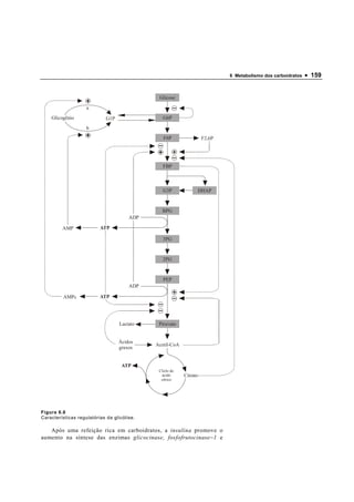 6 Metabolismo dos carboidratos   • 159


                                              Glicose
                    a
    Glicogênio               G1P                G6P
                    b
                                                F6P                 F2,6P




                                                FBP



                                                G3P             DHAP


                                                BPG
                                       ADP

         AMP              ATP

                                                3PG


                                                2PG


                                                PEP
                                       ADP

         AMPc             ATP




                                   Lactato    Piruvato


                                   Ácidos
                                             Acetil-CoA
                                   graxos


                                    ATP
                                              Cliclo do
                                               ácido      Citrato
                                               cítrico




Figura 6.6
Características regulatórias da glicólise.

   Após uma refeição rica em carboidratos, a insulina promove o
aumento na síntese das enzimas glicocinase, fosfofrutocinase − 1 e
 
