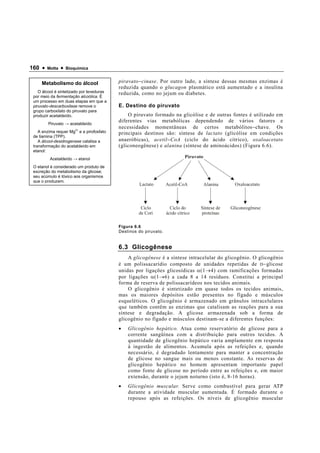 160 •   Motta   •   Bioquímica


     Metabolismo do álcool                 piravato − cinase. Por outro lado, a síntese dessas mesmas enzimas é
                                           reduzida quando o glucagon plasmático está aumentado e a insulina
    O álcool é sintetizado por leveduras   reduzida, como no jejum ou diabetes.
 por meio da fermentação alcoólica. É
 um processo em duas etapas em que a
 piruvato-descarboxilase remove o          E. Destino do piruvato
 grupo carboxilato do piruvato para
 produzir acetaldeído.                         O piruvato formado na glicólise e de outras fontes é utilizado em
                                           diferentes vias metabólicas dependendo de vários fatores e
        Piruvato → acetaldeído
                        2+
                                           necessidades momentâneas de certos metabólitos − chave. Os
    A enzima requer Mg e a pirofosfato     principais destinos são: síntese de lactato (glicólise em condições
 de tiamina (TPP).
    A álcool-desidrogenase catalisa a      anaeróbicas), acetil − CoA (ciclo do ácido cítrico), oxaloacetato
 transformação do acetaldeído em           (gliconeogênese) e alanina (síntese de aminoácidos) (Figura 6.6).
 etanol:
         Acetaldeído → etanol
 O etanol é considerado um produto de
 excreção do metabolismo da glicose;
 seu acúmulo é tóxico aos organismos
 que o produzem.
                                                    Lactato        Acetil-CoA       Alanina       Oxaloacetato



                                                     Ciclo           Ciclo do      Síntese de   Gliconeogênese
                                                    de Cori        ácido cítrico   proteínas

                                           Figura 6.6
                                           Destinos do piruvato.


                                           6.3 Glicogênese
                                               A glicogênese é a síntese intracelular do glicogênio. O glicogênio
                                           é um polissacarídio composto de unidades repetidas de D − glicose
                                           unidas por ligações glicosídicas α (1 → 4) com ramificações formadas
                                           por ligações α (1 → 6) a cada 8 a 14 resíduos. Constitui a principal
                                           forma de reserva de polissacarídeos nos tecidos animais.
                                               O glicogênio é sintetizado em quase todos os tecidos animais,
                                           mas os maiores depósitos estão presentes no fígado e músculos
                                           esqueléticos. O glicogênio é armazenado em grânulos intracelulares
                                           que também contêm as enzimas que catalisam as reações para a sua
                                           síntese e degradação. A glicose armazenada sob a forma de
                                           glicogênio no fígado e músculos destinam-se a diferentes funções:
                                           •   Glicogênio hepático. Atua como reservatório de glicose para a
                                               corrente sangüínea com a distribuição para outros tecidos. A
                                               quantidade de glicogênio hepático varia amplamente em resposta
                                               à ingestão de alimentos. Acumula após as refeições e, quando
                                               necessário, é degradado lentamente para manter a concentração
                                               de glicose no sangue mais ou menos constante. As reservas de
                                               glicogênio hepático no homem apresentam importante papel
                                               como fonte de glicose no período entre as refeições e, em maior
                                               extensão, durante o jejum noturno (isto é, 8-16 horas).
                                           •   Glicogênio muscular. Serve como combustível para gerar ATP
                                               durante a atividade muscular aumentada. É formado durante o
                                               repouso após as refeições. Os níveis de glicogênio muscular
 