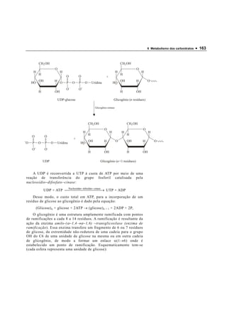 6 Metabolismo dos carboidratos   • 163


          CH2 OH                                                                 CH2 OH
                        O                                                                  O
     H                       H                                               H                  H
          H                                                                      H
                                  O       O                       +
          OH            H                                                        OH        H        O
    HO                       O    P   O   P   O       Uridina             HO
                                  O       O
          H             OH                                                       H         OH

                            UDP-glucose                                   Glicogênio (n resíduos)

                                                        Glicogênio-sintase




                                                  CH2 OH                              CH2 OH
                                                                O                               O
                                              H                       H          H                   H
                                                  H                                   H
    O          O
                                      +
                                                  OH            H            O        OH        H        O
O   P     O    P    O       Uridina       HO
    O          O
                                                  H             OH                    H         OH

              UDP                                           Glicogênio (n +1 resíduos)


    A UDP é reconvertida a UTP à custa de ATP por meio de uma
reação de transferência do grupo fosforil catalisada pela
nucleosídio − difosfato − cinase:
                         Nucleosídeo −
                                         −cinase
              UDP + ATP    difosfato  → UTP + ADP
                                               
    Desse modo, o custo total em ATP, para a incorporação de um
resíduo de glicose ao glicogênio é dado pela equação:
         (Glicose) n + glicose + 2ATP → (glicose) n + 1 + 2ADP + 2P i
    O glicogênio é uma estrutura amplamente ramificada com pontos
de ramificações a cada 8 a 14 resíduos. A ramificação é resultante da
ação da enzima amilo-( α − 1,4 →α − 1,6) − transglicosilase (enzima de
ramificação). Essa enzima transfere um fragmento de 6 ou 7 resíduos
de glicose, da extremidade não-redutora de uma cadeia para o grupo
OH do C6 de uma unidade de glicose na mesma ou em outra cadeia
de glicogênio, de modo a formar um enlace α (1 → 6) onde é
estabelecido um ponto de ramificação. Esquematicamente tem-se
(cada esfera representa uma unidade de glicose):
 