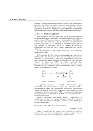 170 •   Motta   •   Bioquímica


                                 utilizam a glicose como fonte primária de energia. Sob circunstâncias
                                 especiais, as células do cérebro também usam corpos cetônicos
                                 (derivados dos ácidos graxos) para gerar energia. O músculo
                                 esquelético em exercício, emprega a glicose a partir do glicogênio em
                                 combinação com ácidos graxos e corpos cetônicos para obter energia.

                                 A. Reações da gliconeogênese
                                     Considerando o piruvato como ponto inicial da gliconeogênese,
                                 as reações podem ser comparadas com as da via glicolítica mas, no
                                 sentido inverso. Muitas das enzimas e intermediários são idênticos.
                                 Sete reações são reversíveis. No entanto, três são irreversíveis:
                                 piruvato − cinase ( ∆ G °′ = − 31,4 kJ·mol −1 ), fosfofrutocinase − 1 ( ∆ G °′ =
                                 − 14,2 kJ·mol −1 ) e hexocinase ( ∆ G °′ = − 16,7 kJ·mol −1 ) e devem ser
                                 contornadas por meio de outras reações catalisadas por enzimas
                                 diferentes.
                                     Na gliconeogênese, as três reações irreversíveis são contornadas
                                 nas seguintes etapas:
                                      1. Conversão de piruvato em fosfoenolpiruvato através do
                                 oxaloacetato. São necessárias duas reações exergônicas para essa
                                 conversão. Na mitocôndria, o piruvato é carboxilado a oxaloacetato
                                 (um composto de quatro carbonos intermediário do ciclo do ácido
                                 cítrico) as custas de ATP em reação catalisada pela
                                 piruvato − carboxilase. A coenzima biotina, que funciona como
                                 transportador de bicarbonato, está covalentemente ligada à enzima
                                 através do grupo amino da lisina.

                                              COO                                                   COO
                                                                          Piruvato-carboxilase
                                             C      O   +     HCO3                                  C     O
                                              CH3                                                   CH2
                                                                          ATP         ADP+Pi
                                                                                                    COO

                                             Piruvato       Bicarbonato                          Oxaloacetato

                                     A piruvato-carboxilase é ativada alostericamente pela
                                 acetil − CoA. O oxaloacetato é tanto um precursor para a
                                 gliconeogênese quanto um intermediário do ciclo do ácido cítrico.
                                 Níveis elevados de acetil − CoA sinalizam a necessidade de mais
                                 oxaloacetato. Se houver excesso de ATP, o oxaloacetato será utilizado
                                 na gliconeogênese; se houver falta de ATP, o oxaloacetato entrará no
                                 ciclo do ácido cítrico.
                                     Como a membrana mitocondrial interna é impermeável ao
                                 oxaloacetato esse deve ser transportado para o citosol na forma de
                                 malato. O oxaloacetato é reduzido a malato na mitocôndria pela
                                 malato-desidrogenase.
                                                            Malato− desidrogenase
                                 Oxaloacetato + NADH + H + ←      →     
                                                                                                        L -malato   + NAD +
                                     Após a transferência do malato para o citosol por meio do
                                 transportador malato −α− cetoglutarato, ocorre reação reversa
                                 catalisada por uma malato-desidrogenase citoplasmática.
 