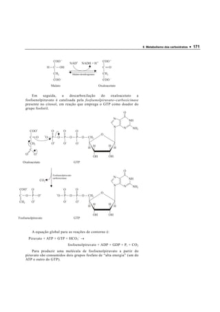 6 Metabolismo dos carboidratos   • 171


                                 COO                                          COO
                                                NAD+         NADH + H +
                            H    C     OH                                     C     O
                                 CH2                 Malato-desidrogenase     CH2
                                 COO                                          COO
                                Malato                                      Oxaloacetato


          Em    seguida,    a    descarboxilação   do    oxaloacetato     a
      fosfoenolpiruvato é catalisada pela fosfoenolpiruvato − carboxicinase
      presente no citosol, em reação que emprega o GTP como doador do
      grupo fosforil.
                                                                                             O
                                                                                         N
                                                                                                 NH
                                                                                         N   N    NH2
          COO                   O         O             O
                                                                             O
          C       O         O   P    O     P    O       P    O     CH2
          CH2                   O          O            O
                                                                       H            H
                                                                   H                     H
          C
      O           O
                                                                       OH           OH
    Oxaloacetato                                      GTP

                                                                                             O
                                 Fosfoenolpiruvato
                                 carboxicinase                                           N
                      CO2                                                                        NH
                                                                                         N   N    NH2
COO        O                              O             O
                                                                             O
C     O       P       O              O     P    O       P    O     CH2
CH2        O                               O            O
                                                                       H            H
                                                                   H                     H

                                                                       OH           OH
Fosfoenolpiruvato                                     GTP



           A equação global para as reações de contorno é:
          Piruvato + ATP + GTP + HCO 3 - →
                                               fosfoenolpiruvato + ADP + GDP + P i + CO 2
          Para produzir uma molécula de fosfoenolpiruvato a partir do
      piruvato são consumidos dois grupos fosfato de “alta energia” (um do
      ATP e outro do GTP).
 