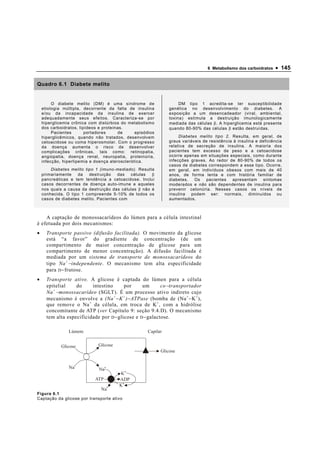 6 Metabolismo dos carboidratos   • 145

Quadro 6.1 Diabete melito


         O diabete melito (DM) é uma síndrome de                     DM tipo 1 acredita-se ter susceptibilidade
    etiologia múltipla, decorrente da falta de insulina         genética no desenvolvimento do diabetes. A
    e/ou da incapacidade da insulina de exercer                 exposição a um desencadeador (viral, ambiental,
    adequadamente seus efeitos. Caracteriza-se por              toxina) estimula a destruição imunologicamente
    hiperglicemia crônica com distúrbios do metabolismo         mediada das células β. A hiperglicemia está presente
    dos carboidratos, lipídeos e proteínas.                     quando 80-90% das células β estão destruídas.
         Pacientes       portadores      de     episódios
    hiperglicêmicos, quando não tratados, desenvolvem                Diabetes melito tipo 2. Resulta, em geral, de
    cetoacidose ou coma hiperosmolar. Com o progresso           graus variáveis de resistência à insulina e deficiência
    da doença aumenta o risco de desenvolver                    relativa de secreção de insulina. A maioria dos
    complicações crônicas, tais como: retinopatia,              pacientes tem excesso de peso e a cetoacidose
    angiopatia, doença renal, neuropatia, proteinúria,          ocorre apenas em situações especiais, como durante
    infecção, hiperlipemia e doença aterosclerótica.            infecções graves. Ao redor de 80-90% de todos os
                                                                casos de diabetes correspondem a esse tipo. Ocorre,
        Diabetes melito tipo 1 (imuno-mediado). Resulta         em geral, em indivíduos obesos com mais de 40
    primariamente   da    destruição   das  células   β         anos, de forma lenta e com história familiar de
    pancreáticas e tem tendência a cetoacidose. Inclui          diabetes.   Os   pacientes    apresentam sintomas
    casos decorrentes de doença auto-imune e aqueles            moderados e não são dependentes de insulina para
    nos quais a causa da destruição das células β não é         prevenir cetonúria. Nesses casos os níveis de
    conhecida. O tipo 1 compreende 5-10% de todos os            insulina podem ser: normais, diminuídos ou
    casos de diabetes melito. Pacientes com                     aumentados.



    A captação de monossacarídeos do lúmen para a célula intestinal
é efetuada por dois mecanismos:
•     Transporte passivo (difusão facilitada). O movimento da glicose
      está “a favor” do gradiente de concentração (de um
      compartimento de maior concentração de glicose para um
      compartimento de menor concentração). A difusão facilitada é
      mediada por um sistema de transporte de monossacarídeos do
      tipo Na + − independente. O mecanismo tem alta especificidade
      para D − frutose.
•     Transporte ativo. A glicose é captada do lúmen para a célula
      epitelial    do     intestino      por     um       co − transportador
      Na + − monossacarídeo (SGLT). É um processo ativo indireto cujo
      mecanismo é envolve a (Na + − K + ) − ATPase (bomba de (Na + − K + ),
      que remove o Na + da célula, em troca de K + , com a hidrólise
      concomitante de ATP (ver Capítulo 9: seção 9.4.D). O mecanismo
      tem alta especificidade por D − glicose e D − galactose.

                Lúmem                                Capilar


             Glicose          Glicose
                                                            Glicose


                Na+            Na+
                                         K+
                             ATP        ADP
                                        K+
                                Na+
Figura 6.1
Captação da glicose por transporte ativo
 