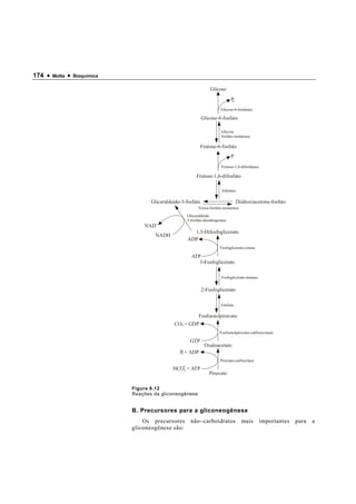 174 •   Motta   •   Bioquímica

                                                                      Glicose
                                                                                  Pi
                                                                           Glicose-6-fosfatase

                                                                  Glicose-6-fosfato

                                                                            Glicose
                                                                            fosfato-isomerase

                                                                  Frutose-6-fosfato
                                                                                  P
                                                                            Frutose-1,6-difosfatase

                                                             Frutose-1,6-difosfato

                                                                            Aldolase

                                        Gliceraldeído-3-fosfato                        Diidroxiacetona-fosfato
                                                              Triose-fosfato-isomerase
                                                        Gliceraldeído
                                                        3-fosfato-desidrogenase
                                     NAD+
                                                           1,3-Difosfoglicerato
                                          NADH
                                                         ADP
                                                                           Fosfoglicerato-cinase

                                                          ATP
                                                             3-Fosfoglicerato

                                                                            Fosfoglicerato-mutase


                                                                  2-Fosfoglicerato

                                                                           Enolase

                                                              Fosfoenolpiruvato
                                                  CO2 + GDP
                                                                           Fosfoenolpiruvato-carboxicinase

                                                          GTP
                                                                   Oxaloacetato
                                                     Pi + ADP
                                                                           Piruvato-carboxilase

                                                  HCO- + ATP
                                                     3
                                                                      Piruvato

                                 Figura 6.12
                                 Reações da gliconeogênese


                                 B. Precursores para a gliconeogênese
                                     Os precursores       não − carboidratos             mais         importantes   para   a
                                 gliconeogênese são:
 