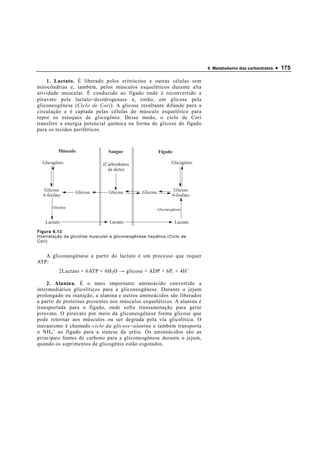 6 Metabolismo dos carboidratos   • 175

    1. Lactato. É liberado pelos eritrócitos e outras células sem
mitocôndrias e, também, pelos músculos esqueléticos durante alta
atividade muscular. É conduzido ao fígado onde é reconvertido a
piruvato pela lactato − desidrogenase e, então, em glicose pela
gliconeogênese (Ciclo de Cori). A glicose resultante difunde para a
circulação e é captada pelas células do músculo esquelético para
repor os estoques de glicogênio. Desse modo, o ciclo de Cori
transfere a energia potencial química na forma de glicose do fígado
para os tecidos periféricos.



          Músculo                Sangue                    Fígado

  Glicogênio                   (Carboidratos                       Glicogênio
                                 da dieta)



   Glicose         Glicose       Glicose         Glicose             Glicose
  6-fosfato                                                         6-fosfato

       Glicólise
                                                           Gliconeogênese


   Lactato                        Lactato                            Lactato
Figura 6.13
Interrelação da glicólise muscular e gliconeogênese hepática (Ciclo de
Cori)


   A gliconeogênese a partir do lactato é um processo que requer
ATP:
           2Lactato + 6ATP + 6H 2 O → glicose + ADP + 6P i + 4H +

    2. Alanina. É o mais importante aminoácido convertido a
intermediários glicolíticos para a gliconeogênese. Durante o jejum
prolongado ou inanição, a alanina e outros aminoácidos são liberados
a partir de proteínas presentes nos músculos esqueléticos. A alanina é
transportada para o fígado, onde sofre transaminação para gerar
piruvato. O piruvato por meio da gliconeogênese forma glicose que
pode retornar aos músculos ou ser degrada pela via glicolítica. O
mecanismo é chamado ciclo da glicose − alanina e também transporta
o NH 4 + ao fígado para a síntese da uréia. Os aminoácidos são as
principais fontes de carbono para a gliconeogênese durante o jejum,
quando os suprimentos de glicogênio estão esgotados.
 