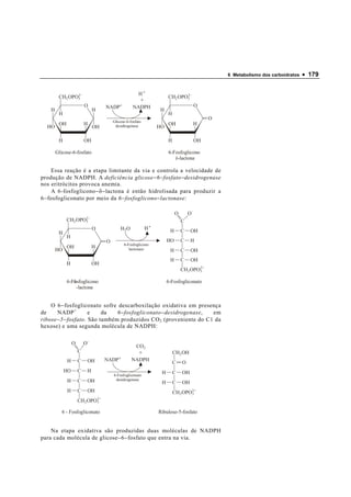 6 Metabolismo dos carboidratos   • 179


                2                                         H+                    2
         CH2 OPO3                                                        CH2 OPO3
                                                           +
                          O            NADP+           NADPH                              O
    H                             H                                 H
         H                                                               H
                                                                                               O
                                           Glicose-6-fosfato
         OH               H                                              OH               H
  HO                              OH        desidrogenase           HO

         H                OH                                             H                OH

        Glicose-6-fosfato                                                6-Fosfoglicono
                                                                            δ-lactona

     Essa reação é a etapa limitante da via e controla a velocidade de
produção de NADPH. A deficiência glicose − 6 − fosfato − desidrogenase
nos eritrócitos provoca anemia.
     A 6-fosfoglicono −δ− lactona é então hidrolisada para produzir a
6 − fosfogliconato por meio da 6 − fosfoglicono − lactonase:

                                                                              O       O
                     2
              CH2 OPO3                                                            C
                                  O            H2 O            H+         H       C    OH
         H
              H
                                       O                                 HO       C    H
                                                 6-Fosfoglicono
              OH                  H
        HO                                          lactonase             H       C    OH
                                                                          H       C    OH
              H                   OH
                                                                                  CH2 OPO2
                                                                                         3


                 δ
              6-Fosfoglicono                                             6-Fosfogliconato
                   -lactona


    O 6 − fosfogliconato sofre descarboxilação oxidativa em presença
de     NADP +         e    da   6 − fosfogliconato − desidrogenase, em
ribose − 5 − fosfato. São também produzidos CO 2 (proveniente do C1 da
hexose) e uma segunda molécula de NADPH:

                  O       O
                                                         CO2
                      C                                   +                  CH2 OH
              H       C       OH       NADP +         NADPH
                                                                             C    O
             HO       C       H                                      H       C    OH
                                           6-Fosfogliconato
              H       C       OH            desidrogenase
                                                                     H       C    OH
              H       C       OH                                             CH2 OPO2
                                                                                    3

                      CH2 OPO2
                             3

           6 - Fosfogliconato                                       Ribulose-5-fosfato


    Na etapa oxidativa são produzidas duas moléculas de NADPH
para cada molécula de glicose − 6 − fosfato que entra na via.
 