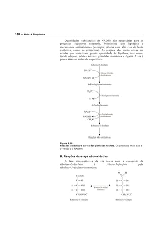 180 •   Motta   •   Bioquímica


                                     Quantidades substanciais de NADPH são necessárias para os
                                 processos redutores (exemplo, biossíntese dos lipídeos) e
                                 mecanismos antioxidantes (exemplo, células com alto riso de lesão
                                 oxidativa, como os eritrócitos). As reações são muito ativas em
                                 células que sintetizam grande quantidade de lipídeos, tais como,
                                 tecido adiposo, córtex adrenal, glândulas mamárias e fígado. A via é
                                 pouco ativa no músculo esquelético.

                                                                 Glicose-6-fosfato

                                                       NADP +
                                                                             Glicose-6-fosfato
                                                                             desidrogenase
                                                       NADPH

                                                              6-Fosfogliconolactonato

                                                          H2O
                                                                             6-Fosfoglicono-lactonase
                                                              H+

                                                                   6-Fosfogliconato

                                                       NADP +
                                                                             6-Fosfogliconato
                                                       NADPH                 desidrogenase
                                                          CO2

                                                                Ribulose-5-fosfato



                                                              Reações não-oxidativas

                                 Figura 6.16
                                 Reações oxidativas da via das pentoses-fosfato. Os produtos finais são a
                                 D − ribose e o NADPH.



                                 B. Reações da etapa não-oxidativa
                                     A fase não − oxidativa da via inicia com a conversão da
                                 ribulose − 5 − fosfato          à   ribose − 5 − fosfato pela
                                 ribulose − 5 − fosfato − isomerase:
                                                                                                     O       H
                                               CH2 OH                                                    C
                                               C   O                                             H       C   OH
                                           H   C   OH                                            H       C   OH
                                                                     Ribulose-5-fosfato
                                           H   C   OH                    isomerase               H       C   OH
                                               CH2 OPO2
                                                      3                                                  CH2 OPO2
                                                                                                                3


                                         Ribulose-5-fosfato                                      Ribose-5-fosfato
 