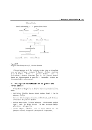 6 Metabolismo dos carboidratos   • 183

                             Ribulose-5-fosfato

       Ribulose-5-fosfato-epimerase               Ribulose-5-fosfato-isomerase



             Xilulose-5-fosfato                 Ribulose-5-fosfato


                                            Translocase



               Sedoeptulose-7-fosfato                 Gliceraldeído-3-fosfato

                                                   Transaldolase



                            Eritrose-4-fosfato


                            Transcetolase                     Frutose-6-fosfato


      Gliceraldeído-3-fosfato          Frutose-6-fosfato



Figura 6.17
Reações não-oxidativas da via pentoses − fosfato.


     Alternativamente, a via das pentoses − fosfato pode ser concebida
como um “desvio” para a produção de frutose − 6 − fosfato a partir da
glicose − 6 − fosfato.    Tanto   a    glicose − 6 − fosfato como    o
gliceraldeído − 3 − fosfato produzidos pela via das pentoses − fosfato
podem ser metabolizados a piruvato e, finalmente, oxidado no
sistema enzimático mitocondrial.


6.7 Visão geral do metabolismo da glicose em
várias células
   O metabolismo da glicose em diversos tecidos ocorre do seguinte
modo:
•   Eritrócitos. Glicólise (lactato como produto final) e via das
    pentoses − fosfato.
•   Cérebro. Glicólise (piruvato como produto final), ciclo do ácido
    cítrico e via das pentoses − fosfato.
•   Células musculares. Glicólise (piruvato e lactato como produto
    final), ciclo do ácido cítrico, via das pentoses − fosfato,
    glicogênese e glicogenólise.
•   Tecido adiposo. Glicólise, ciclo do ácido cítrico, via das
    pentoses − fosfato, glicogênese, glicogenólise e lipogênese,.
 
