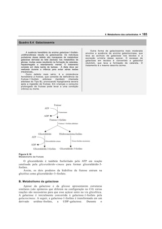 6 Metabolismo dos carboidratos   • 185

Quadro 6.4 Galactosemia


                                                                                   Outra forma de galactosemia mais moderada
        A ausência hereditária da enzima galactose-1-fosfato-                 envolve a ausência da enzima galactocinase, que
  uridiltransferase resulta na galactosemia. Os indivíduos                    leva ao acímulo de galactose nos tecidos e a
  portadores desse defeito são inacapazes de metabolizar                      excreção urinária desse açúcar. O excesso de
  galactose derivada do leite (lactose) nos metabólitos de                    galactose em tecidos é convertido a galactitol
  glicose, muitas vezes resultando na formação de cataratas,                  (dulcitol), que leva a formação de catarata. O
  hepatomegalia e retardamento mental. O tratamento                           tratamento é o mesmo descrito acima.
  consiste em dieta isenta de lactose. A dieta deve ser
  realizada durante a infância para evitar sérias lesões
  irreversíveis..
        Outro defeito mais sério, é a intolerância
  hereditária à frutose, que consiste de deficiência da
  frutose-1-fosfato      aldolase     (também     chamada
  aldolase do Tipo B), provocando hipoglicemia severa
  após a ingestão de frutose. Em crianças o consumo
  prolongado de frutose pode levar a uma condição
  crônica ou morte.




                                     Frutose
                          ATP
                                           Frutocinase

                         ADP
                                Frutose-1-fosfato
                                           Frutose-1-fosfato-aldolase




                   Gliceraldeído            Diidroxiacetona-fosfato
             ATP
                          Gliceraldeído-cinase              Triose-fosfato-isomerase

            ADP
              Gliceraldeído-3-fosfato        Gliceraldeído-3-fosfato

Figura 6.18
Metabolismo da frutose

    O gliceraldeído é também fosforilado pelo ATP em reação
catalisada pela gliceraldeído − cinase para formar gliceraldeído-3-
fosfato.
    Assim, os dois produtos da hidrólise da frutose entram na
glicólise como gliceraldeído − 3 − fosfato.

B. Metabolismo da galactose
    Apesar da galactose e da glicose apresentarem estruturas
similares (são epímeros que diferem na configuração no C4) várias
reações são necessárias para que esse açúcar entre na via glicolítica.
A galactose é inicialmente convertida à galactose-1-fosfato pela
galactocinase. A seguir, a galactose-1-fosfato é transformada em um
derivado     uridina − fosfato, a    UDP − galactose.    Durante    o
 
