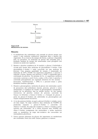 6 Metabolismo dos carboidratos   • 187

                                    Manose

                                         Hexocinase



                               Manose-6-fosfato

                                         Fosfomanose
                                         isomerase



                                Frutose-6-fosfato

Figura 6.20
Metabolismo da manose.


Resumo
1. O metabolismo dos carboidratos está centrado na glicose porque esse
   açúcar é uma molécula combustível importante para a maioria dos
   organismos. Se as reservas de energia são baixas, a glicose é degradada
   pela via glicolítica. As moléculas de glicose não utilizadas para a
   produção imediata de energia são armazenadas como glicogênio (em
   animais) ou amido (em vegetais).
2. Durante a glicólise (seqüência de 10 reações), a glicose é fosforilada e
   clivada para formar duas moléculas de gliceraldeído − 3 − fosfato. Cada
   gliceraldeído − 3 − fosfato é então convertido em uma molécula de
   piruvato. Uma pequena quantidade de energia é armazenada em
   moléculas de ATP e NADH. Em organismos anaeróbicos, o piruvato é
   reduzido a lactato. Durante esse processo, o NAD + é regenerado para a
   continuação da glicólise. Na presença de O 2 , os organismos aeróbicos
   convertem o piruvato a acetil − CoA e, então, a CO 2 e H 2 O. A glicólise é
   controlada principalmente por regulação alostérica de três enzimas –
   hexocinase, fosfofrutocinase 1 (PFK − 1) e piruvato − cinase e pelos
   hormônios insulina e glucagon.
3. Durante a gliconeogênese, moléculas de glicose são sintetizadas a partir
   de precursores não − carboidratos (lactato, piruvato, glicerol e certos
   aminoácidos). A seqüência de reações na gliconeogênese corresponde a
   reações da via glicolítica, mas no sentido inverso. As três reações
   irreversíveis da glicólise (síntese do piruvato, conversão da
   frutose − 1,6 − bifosfato a frutose − 6 − fosfato e a formação de glicose a
   partir da glicose − 6 − fosfato) são substituídas na gliconeogênese por
   reações energeticamente favoráveis.
4. A via das pentoses-fosfato, na qual a glicose-6-fosfato é oxidada, ocorre
   em duas etapas. Na etapa oxidativa, duas moléculas de NADPH são
   produzidas       enquanto     a   glicose − 6 − fosfato  é     convertida     em
   ribulose − 5 − fosfato. Na etapa não − oxidativa, a ribose − 5 − fosfato e outros
   açúcares são sintetizados. Se a célula necessita mais NADPH que
   ribose − 5 − fosfato (componente dos nucleotídeos e ácidos nucléicos)
   então os metabólitos da etapa não − oxidativa são convertidos em
   intermediários glicolíticos.
5. Vários açúcares diferentes da glicose são importantes no metabolismo
   dos vertebrados. Entre eles estão: frutose, galactose e a manose.
 