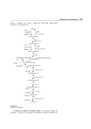 6 Metabolismo dos carboidratos   • 147

libera a energia livre para a síntese de ATP pela fosforilação
oxidativa (ver Capítulo 8).

                                           Glicose
                         ATP
                           Hexocinase                       Pi
                           Glicocinase
                                                      Glicose-6-fosfatase
                        ADP
                                   Glicose-6-fosfato

                                                Glicose
                                                fosfato-isomerase

                                   Frutose-6-fosfato
                         ATP
                                                            Pi
                        Fosfofrutocinase
                                                      Frutose-1,6-difosfatase
                        ADP
                                 Frutose-1,6-difosfato

                                                Aldolase

         Gliceraldeído-3-fosfato                     Diidroxiacetona-fosfato
         Pi                    Triose-fosfato-isomerase

                            Gliceraldeído
                            3-fosfato-desidrogenase
    2 NAD+
                             1,3-Bifosfoglicerato (2)
        2 NADH
                          2 ADP

                                                Fosfoglicerato-cinase
                          2 ATP
                              3-Fosfoglicerato (2)

                                                Fosfoglicerato-mutase


                                 2-Fosfoglicerato (2)

                                               Enolase

                             Fosfoenolpiruvato (2)
                          2 ADP

                                               Piruvato-cinase
                          2 ATP
                                      Piruvato (2)
                        2 NADH

                                                Lactato-desidrogenase
                        2 NAD+
                                         Lactato (2)


Figura 6.2
Reações da glicólise.

    1. Síntese de glicose − 6 − fosfato (G6P). Na primeira reação da
glicólise, a glicose é ativada por fosforilação no grupo hidroxila em
 