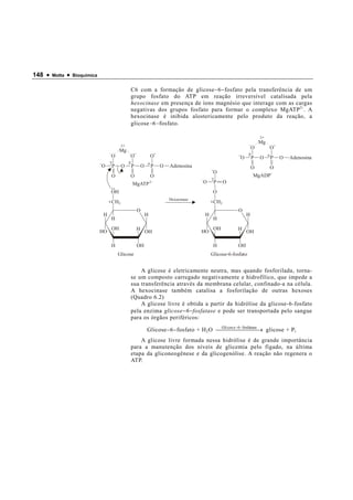 148 •   Motta   •   Bioquímica


                                                   C6 com a formação de glicose − 6 − fosfato pela transferência de um
                                                   grupo fosfato do ATP em reação irreversível catalisada pela
                                                   hexocinase em presença de íons magnésio que interage com as cargas
                                                   negativas dos grupos fosfato para formar o complexo MgATP 2- . A
                                                   hexocinase é inibida alostericamente pelo produto da reação, a
                                                   glicose − 6 − fosfato.

                                                                                                                      2+
                                                                                                                      Mg
                                              2+
                                                                                                                  O        O
                                            Mg
                                      O            O               O                                      O       P   O    P   O   Adenosina
                                 O     P      O    P       O       P   O   Adenosina                              O        O
                                                                                              O
                                       O           O               O                                              MgADP
                                                   MgATP 2                              O     P      O
                                      OH                                                      O
                                                                           Hexocinase
                                      6 CH2                                                  6 CH2

                                                       O                                                 O
                                 H                             H                         H                    H
                                      H                                                       H
                                       OH              H                                      OH         H
                                 HO                            OH                       HO                    OH

                                       H               OH                                     H          OH
                                           Glicose                                           Glicose-6-fosfato


                                                       A glicose é eletricamente neutra, mas quando fosforilada, torna-
                                                   se um composto carregado negativamente e hidrofílico, que impede a
                                                   sua transferência através da membrana celular, confinado-a na célula.
                                                   A hexocinase também catalisa a fosforilação de outras hexoses
                                                   (Quadro 6.2)
                                                       A glicose livre é obtida a partir da hidrólise da glicose-6-fosfato
                                                   pela enzima glicose − 6 − fosfatase e pode ser transportada pelo sangue
                                                   para os órgãos periféricos:

                                                               Glicose − 6 − fosfato + H 2 O cos e −6  → glicose + P i
                                                                                              Gli
                                                                                                    −fosfatase
                                                       A glicose livre formada nessa hidrólise é de grande importância
                                                   para a manutenção dos níveis de glicemia pelo fígado, na última
                                                   etapa da gliconeogênese e da glicogenólise. A reação não regenera o
                                                   ATP.
 